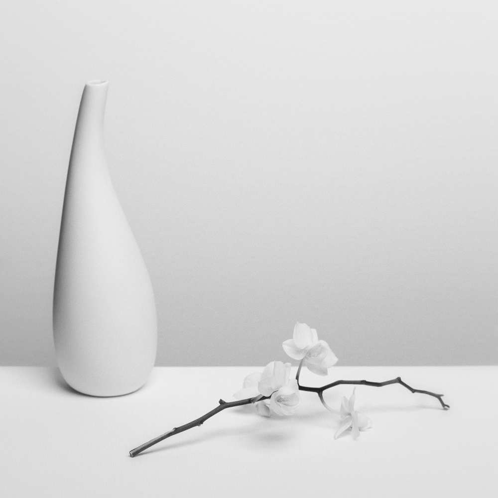 Pure von Kristina Oveckova