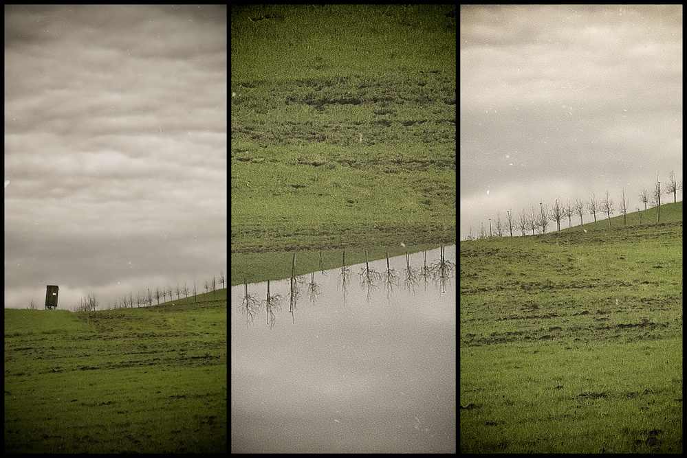 untitledl von Krisztina Lacz