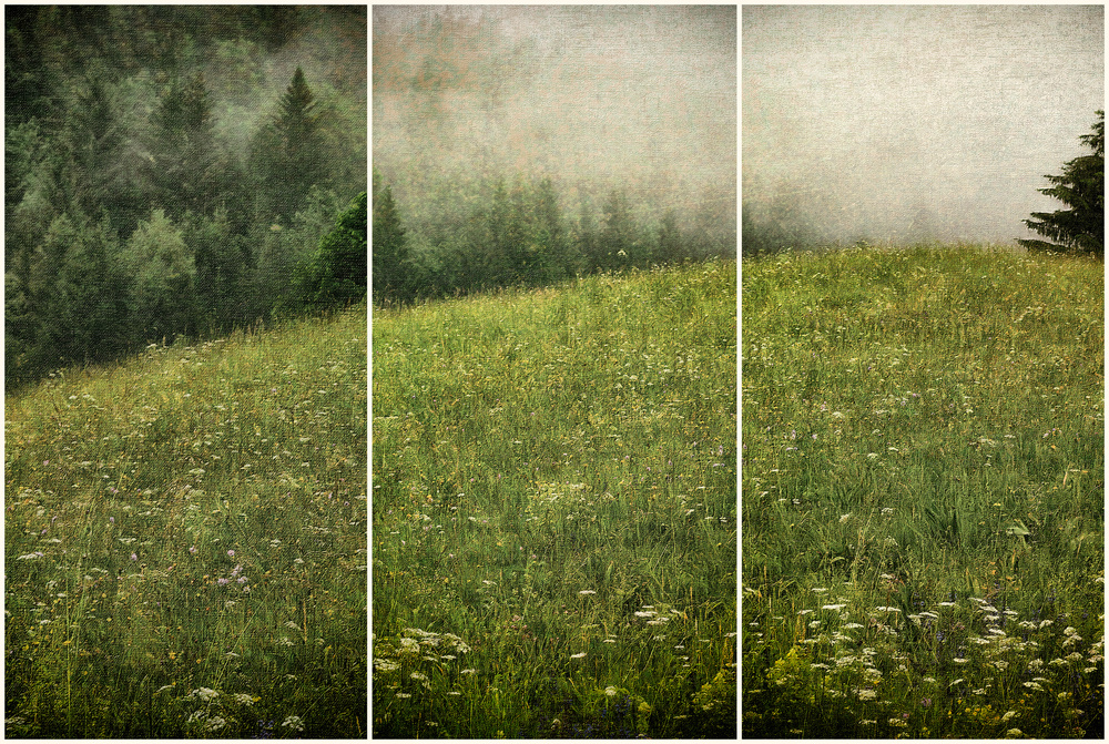 untitledl von Krisztina Lacz