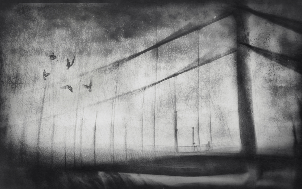 untitledl von Krisztina Lacz