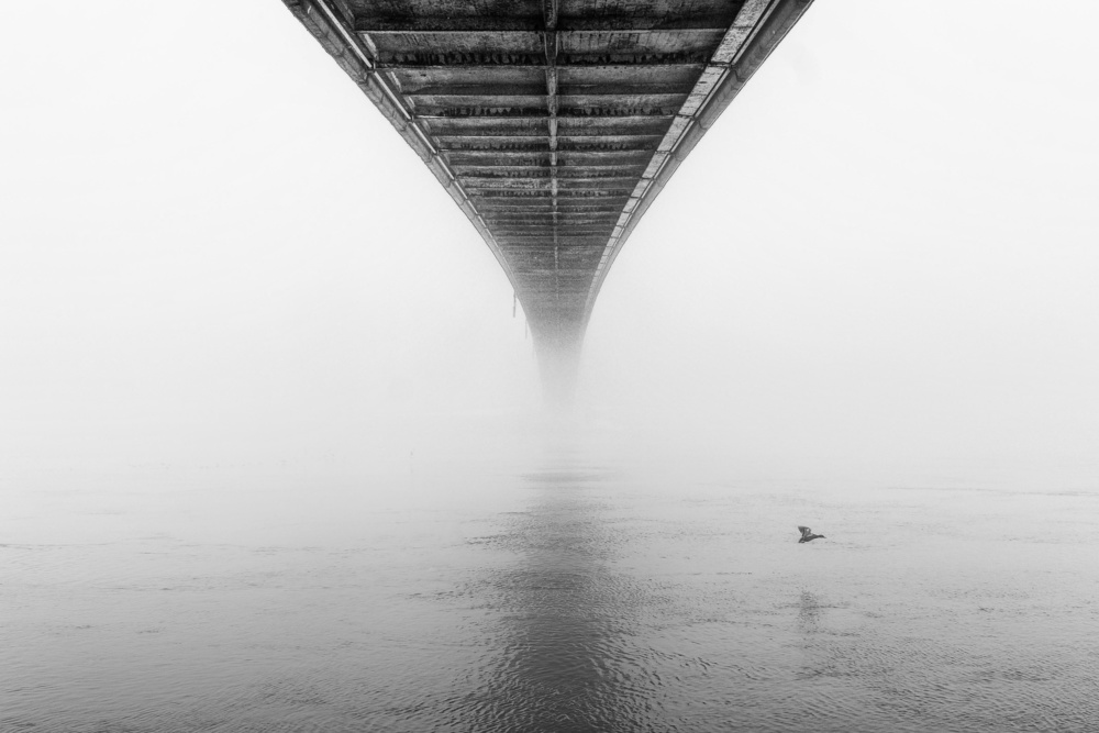 Flight von Krunoslav Nevistic