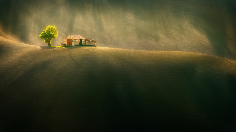 Fields... von Krzysztof Browko