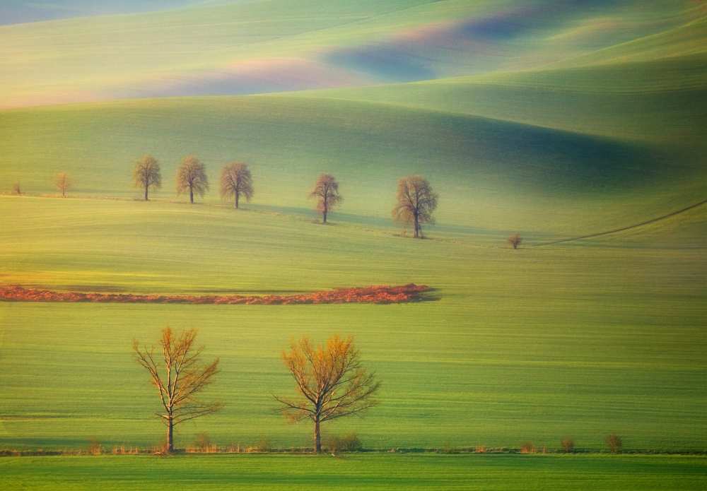 Fields von Krzysztof Browko