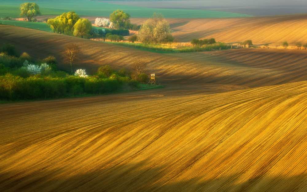 Fields... von Krzysztof Browko