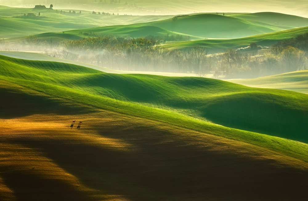 Freedom.... von Krzysztof Browko