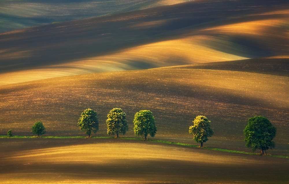 Line... von Krzysztof Browko