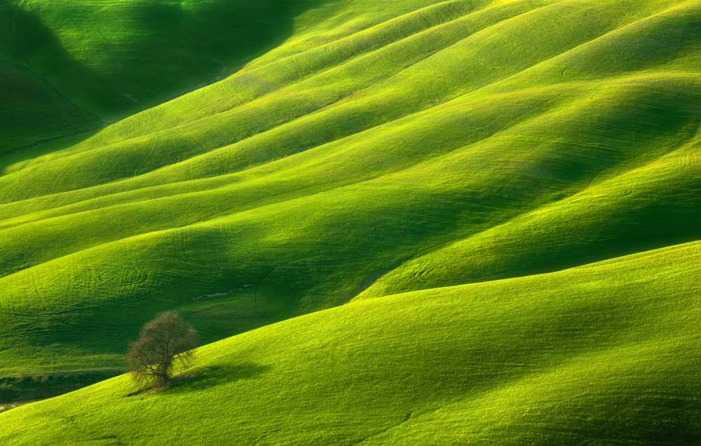 One... von Krzysztof Browko