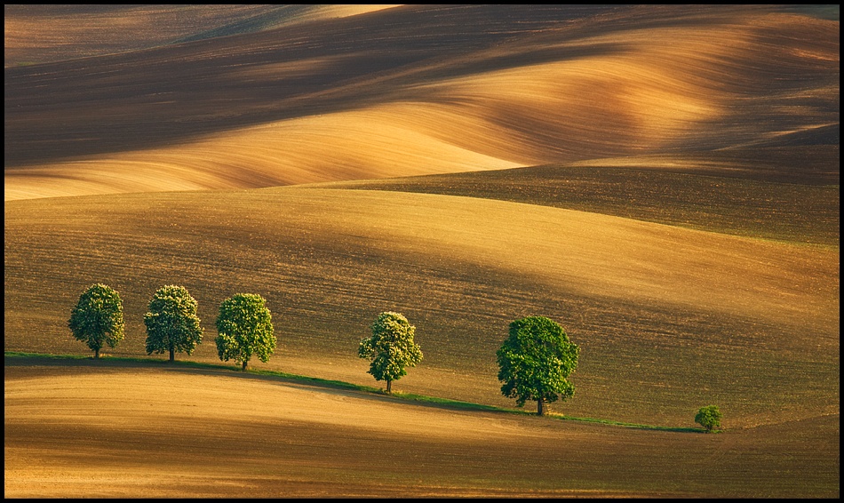 Six... von Krzysztof Browko