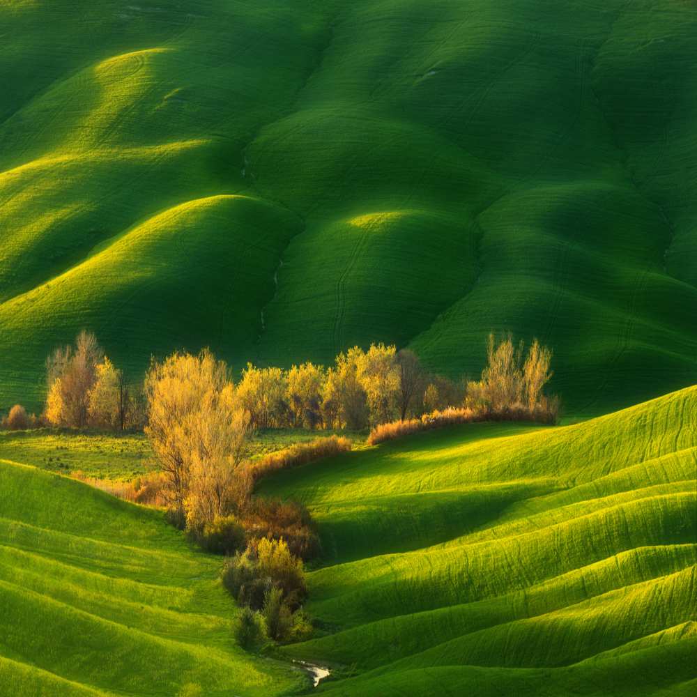 Spring on fields... von Krzysztof Browko