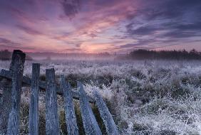 Dawn of Bialowieza Meadows