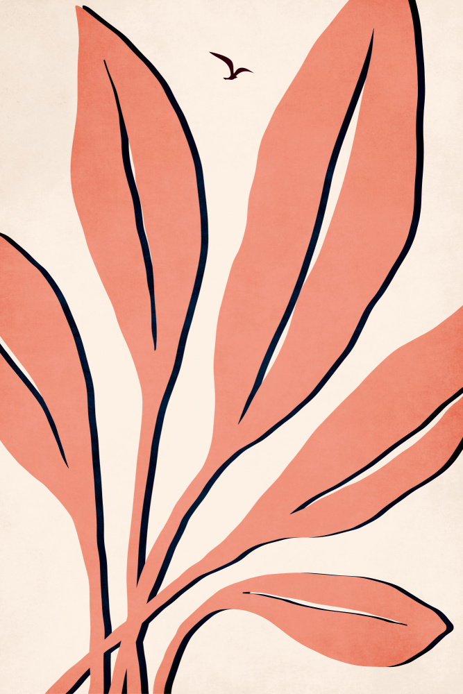 Ophelia   Rosé von Kubistika