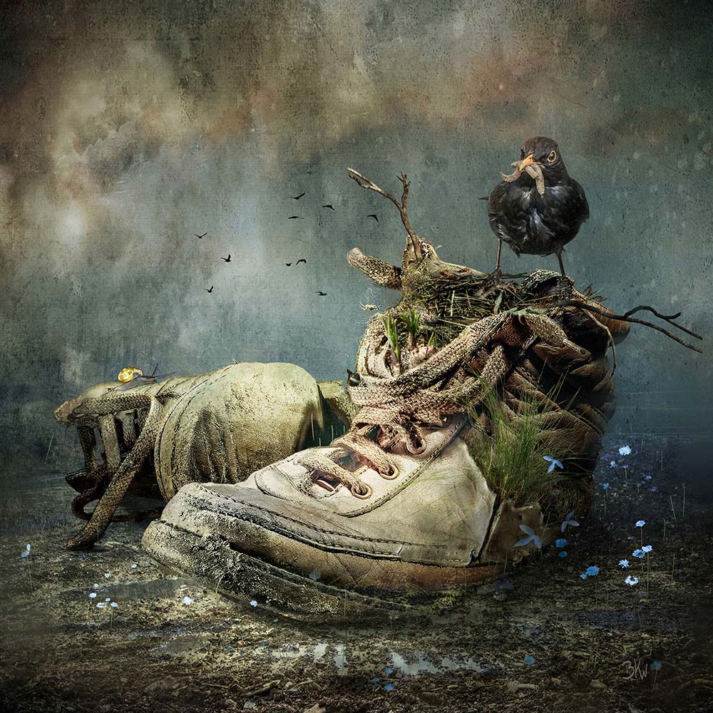 Renature von Brigitte Kuckenberg-Wagner