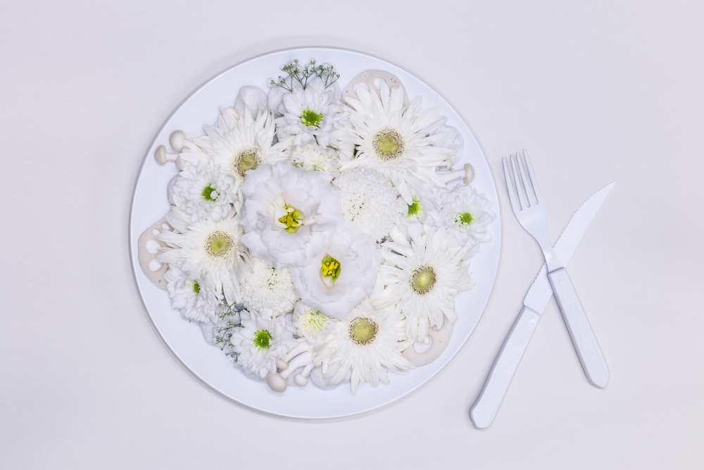 Queen Ravenna von Kumiko Nakata