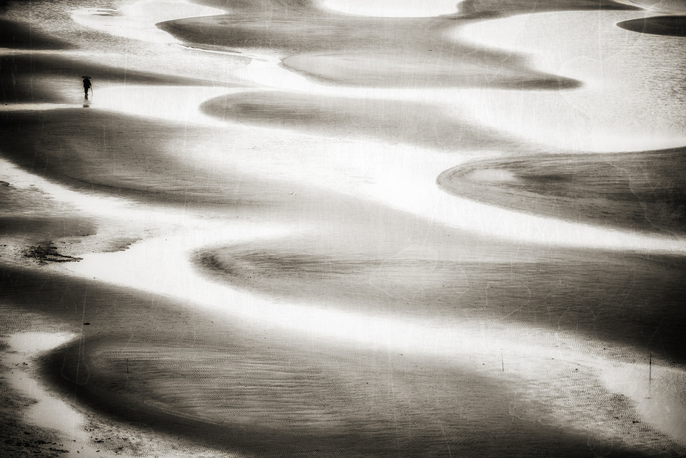 Synchronize von Kumiko Nakata