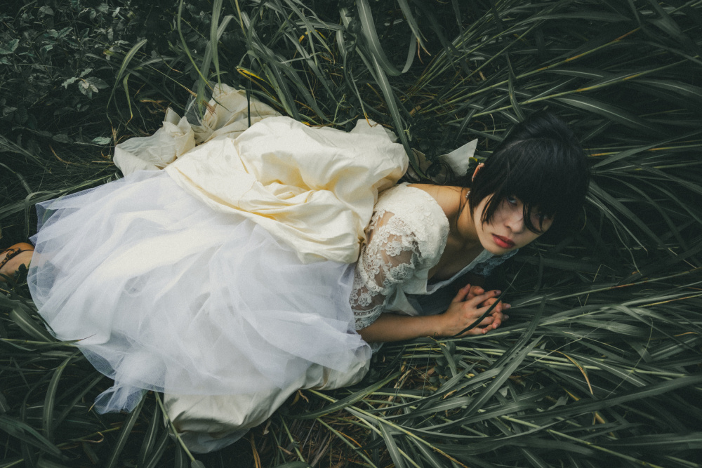 Rosa rugosa von Kurosaki Sangan