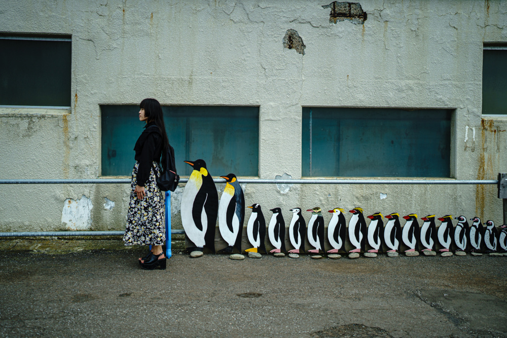 queue von Kurosaki Sangan