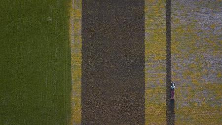 Which colour would you like !!