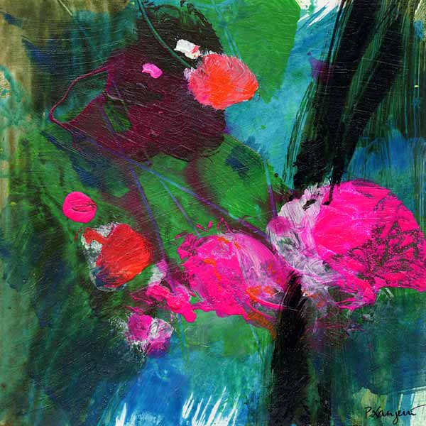 cadart 16 von Pascal Langevin