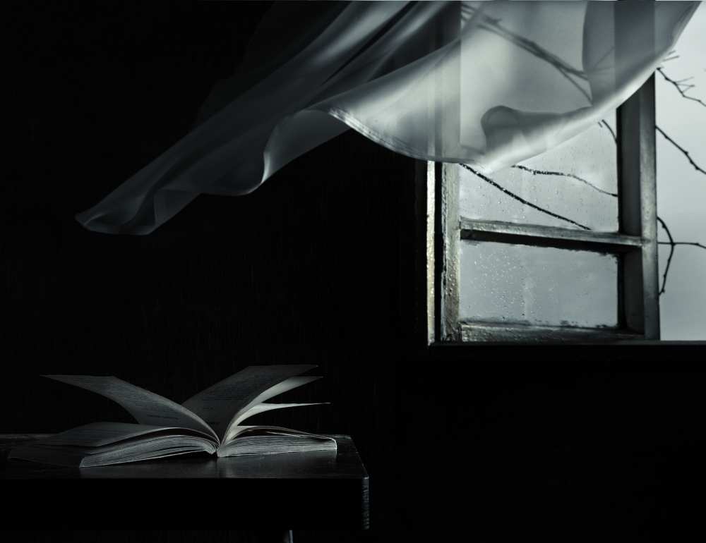 Cold wind von Larisa Lofitskaya