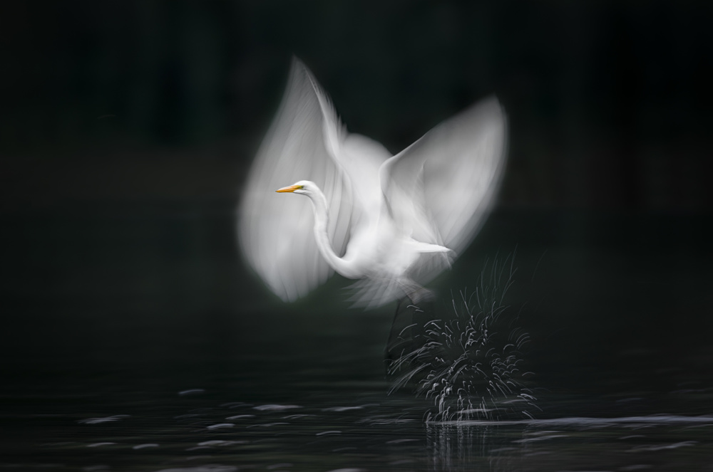 Take off von Larry Deng