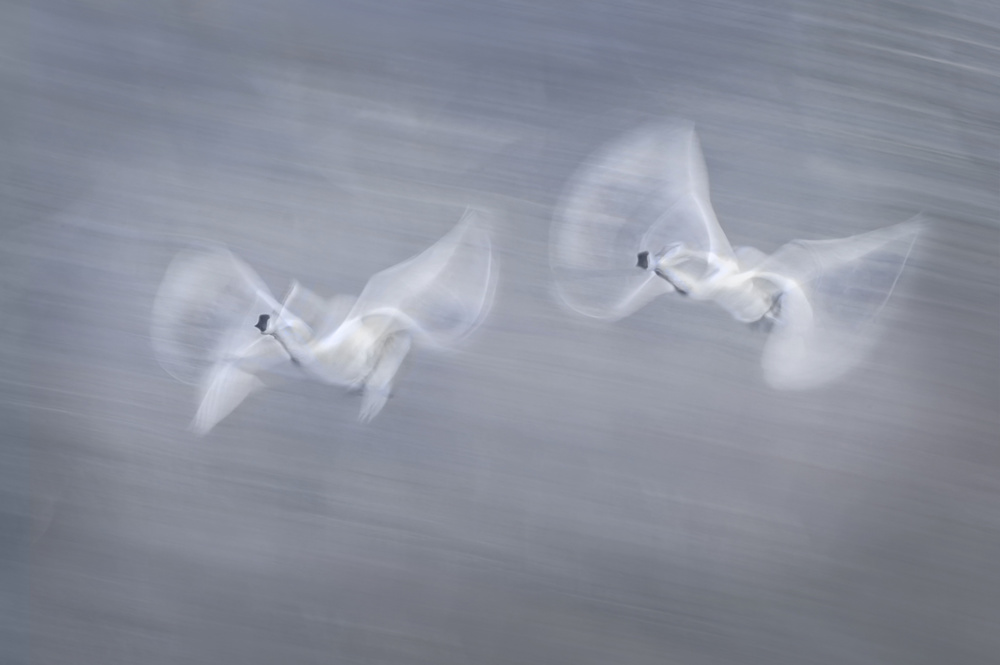 Take off 2 von Larry Deng