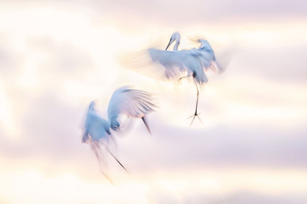 Ballet in the air von Larry Deng