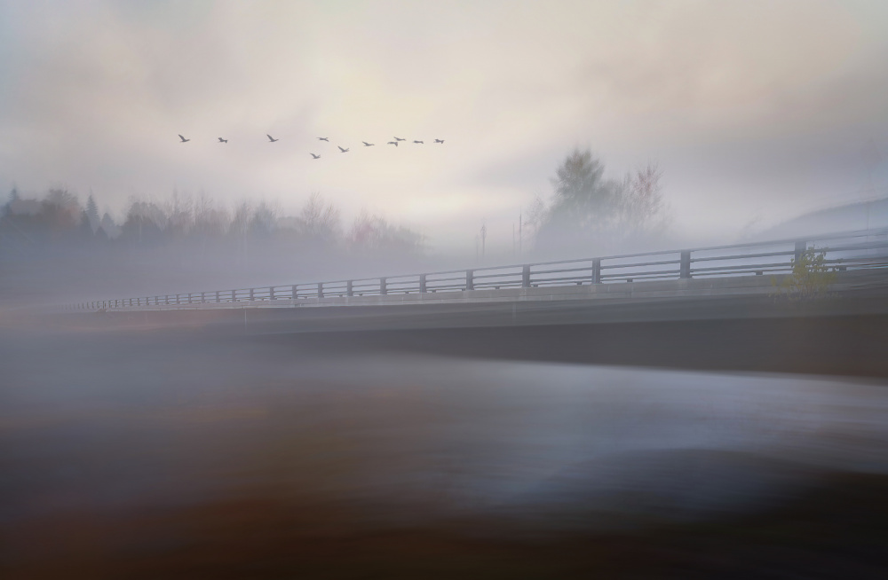 The Bridge von Larry Deng