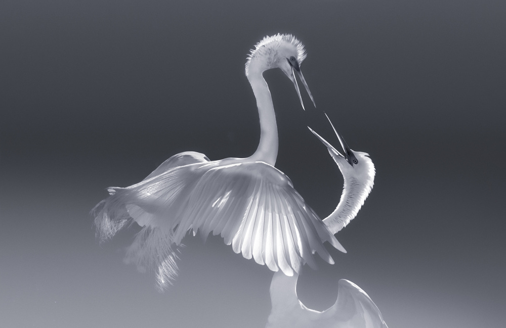 Whisper von Larry Deng