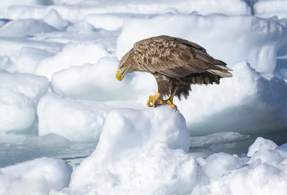 Breakfast von Larry Deng