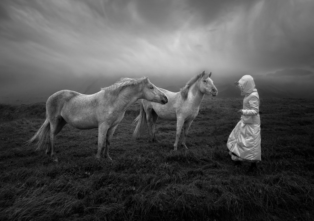 Good morning Iceland von Larry Deng