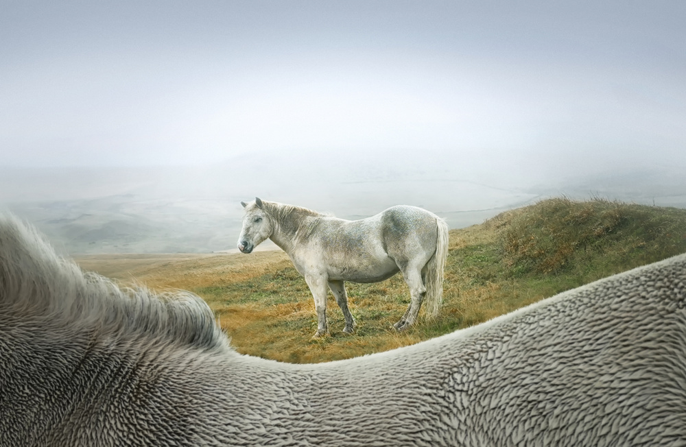 Hey! Down in front von Larry Deng