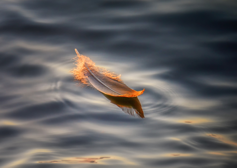 Floating von Larry Deng