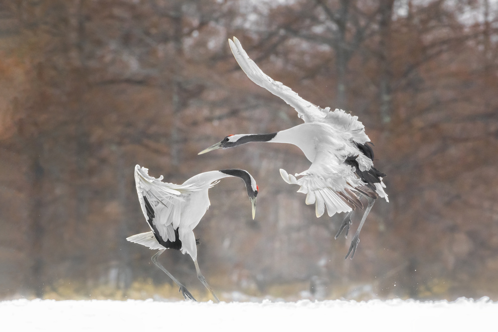 Happy dancing von Larry Deng