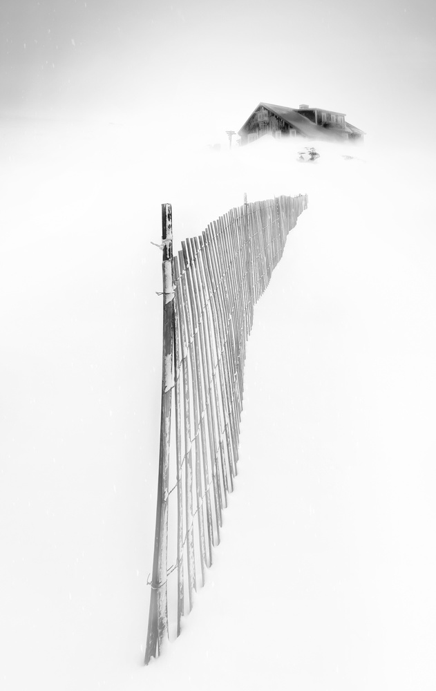 Winter von Larry Deng