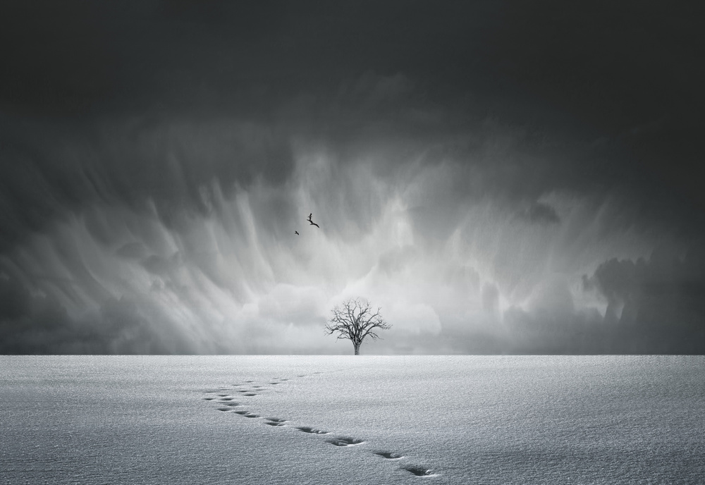 Winter wonderland von Larry Deng