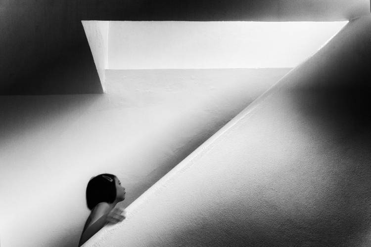 CurioZity von Laura Mexia