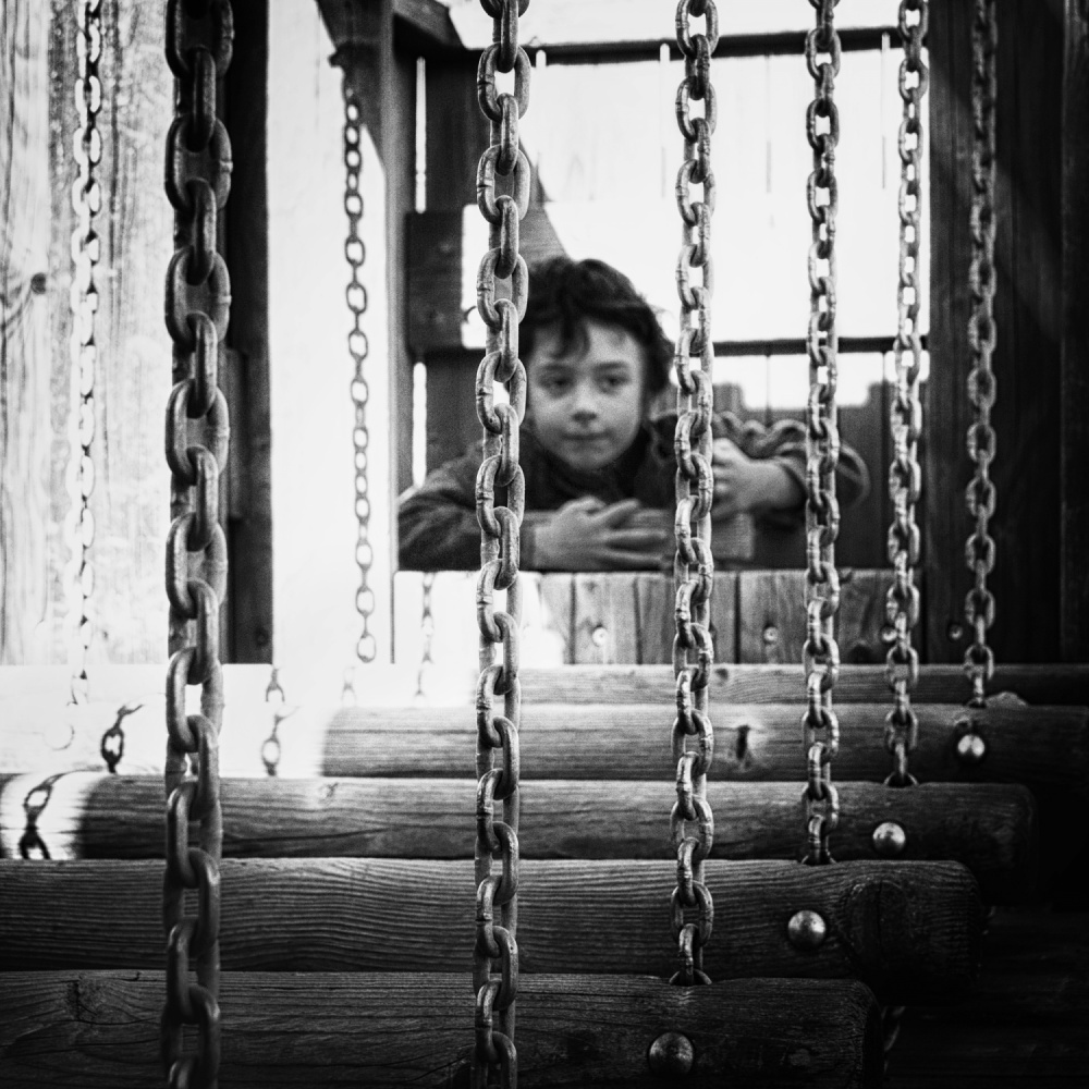 The Last Refuge von Laura Mexia