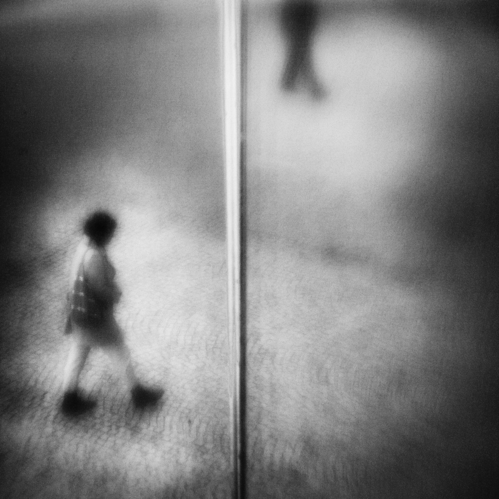 Letting In von Laura Mexia