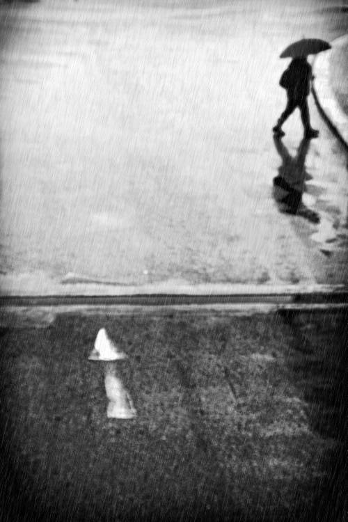 If I Have To Go von Laura Mexia