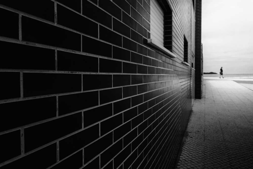 It's A Good Day To Hide von Laura Mexia