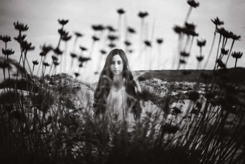 Where The Wild Roses Grow von Laura Mexia