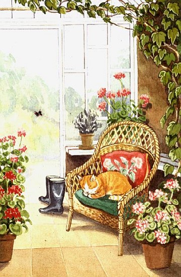 In the Conservatory von Lavinia  Hamer