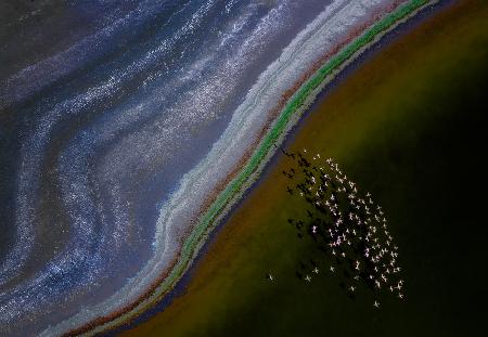 crossing over the rainbow