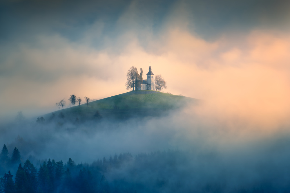 Morning Light von Leah Xu