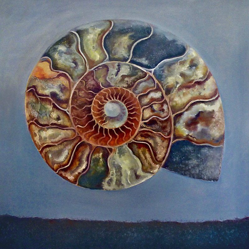 Ammonite von Lee Campbell