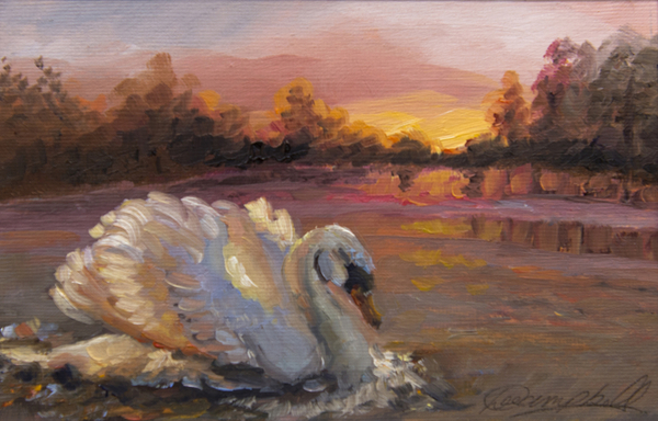 Swan at Sunrise von Lee Campbell