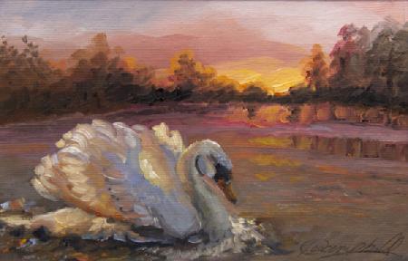 Swan at Sunrise