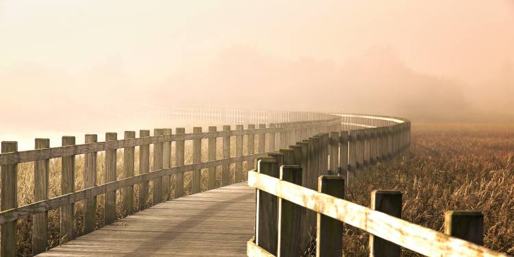 The Path gets brighter. von Leif Landal