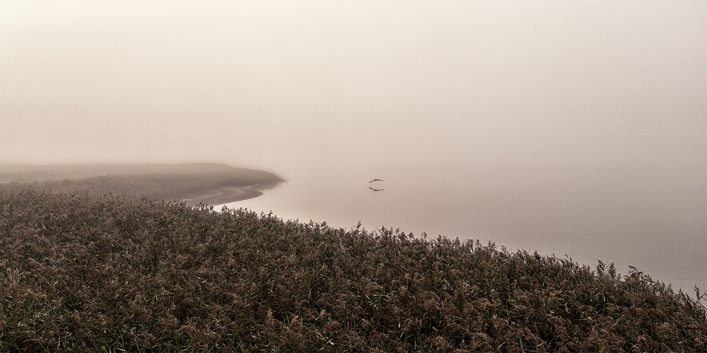 Morning silence. von Leif Løndal