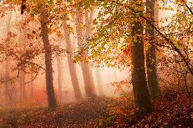 Ruhiges Gehen in Farben.